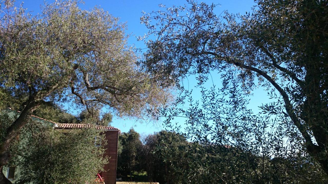 La Pampa Cargese Chambres D Hotes Exterior photo